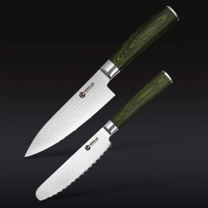 Damascus Steel Starter Knife Set. 2-pc (Green)