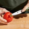 Damascus Steel Paring Knife. 3.5 (Green)